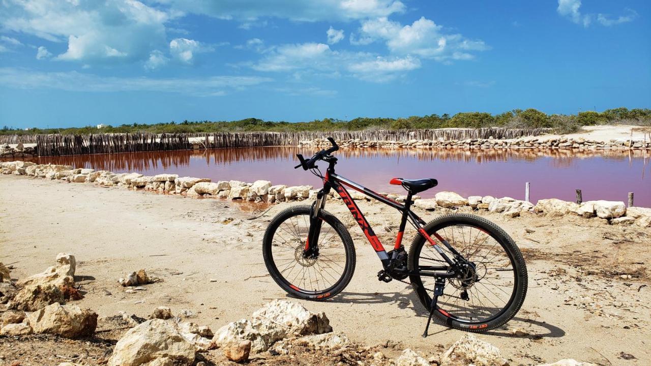 Reef Yucatan All Inclusive & Convention Center Меріда Екстер'єр фото
