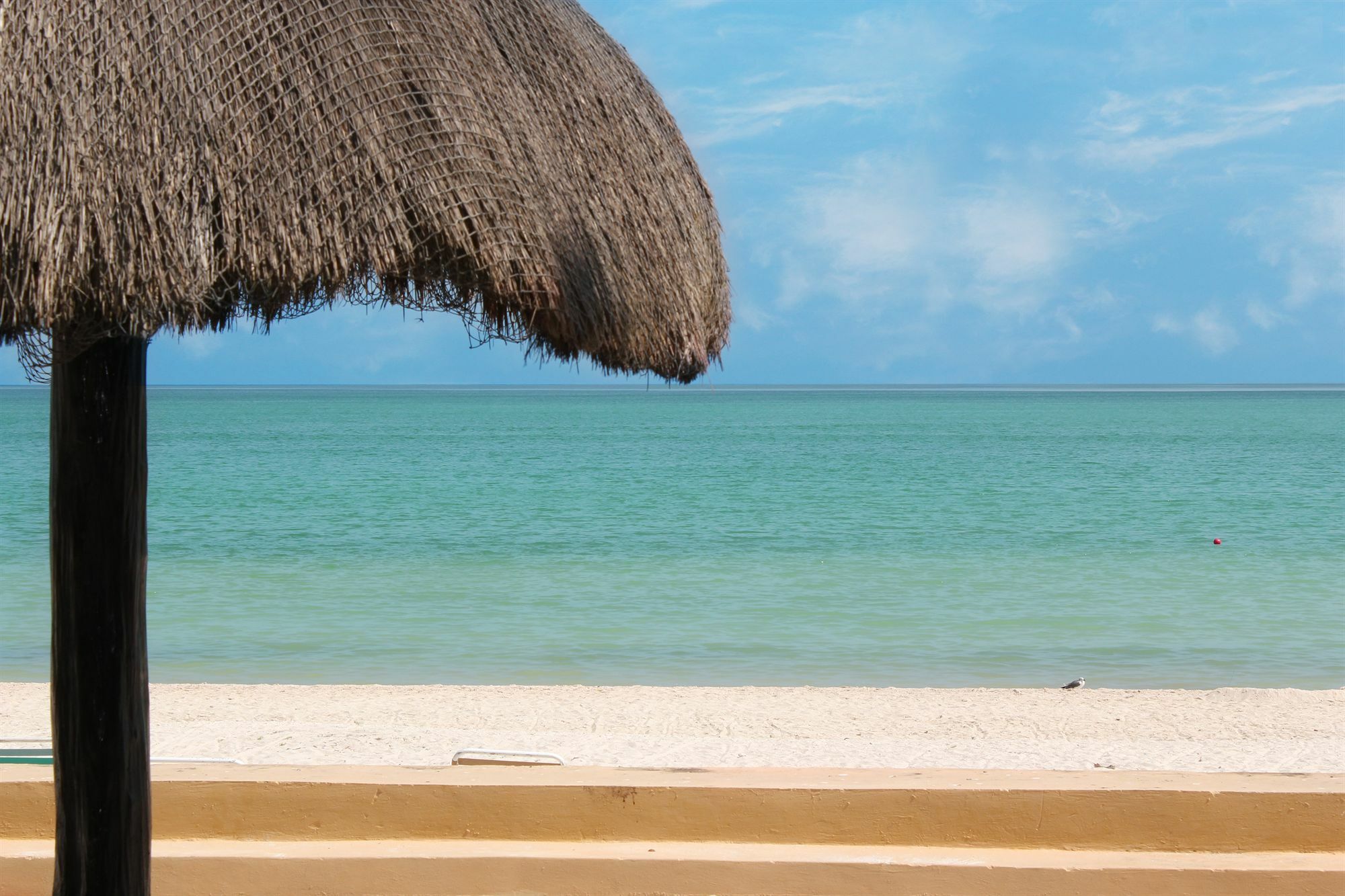 Reef Yucatan All Inclusive & Convention Center Меріда Екстер'єр фото