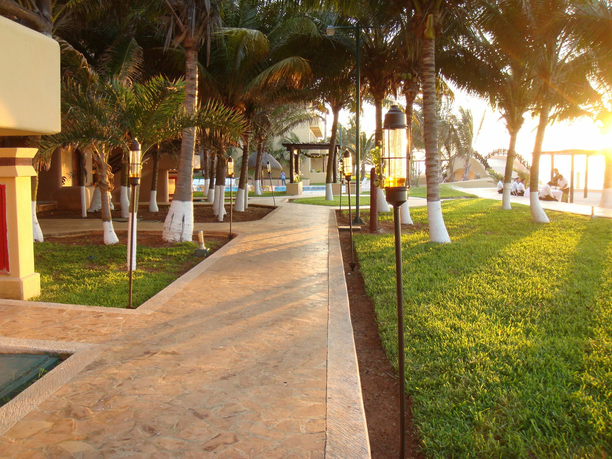 Reef Yucatan All Inclusive & Convention Center Меріда Екстер'єр фото
